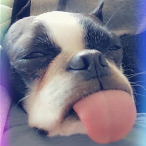 Hello Everyone 🥰💎❤️💖⚘️💍🥂 - Picture 15 of 17